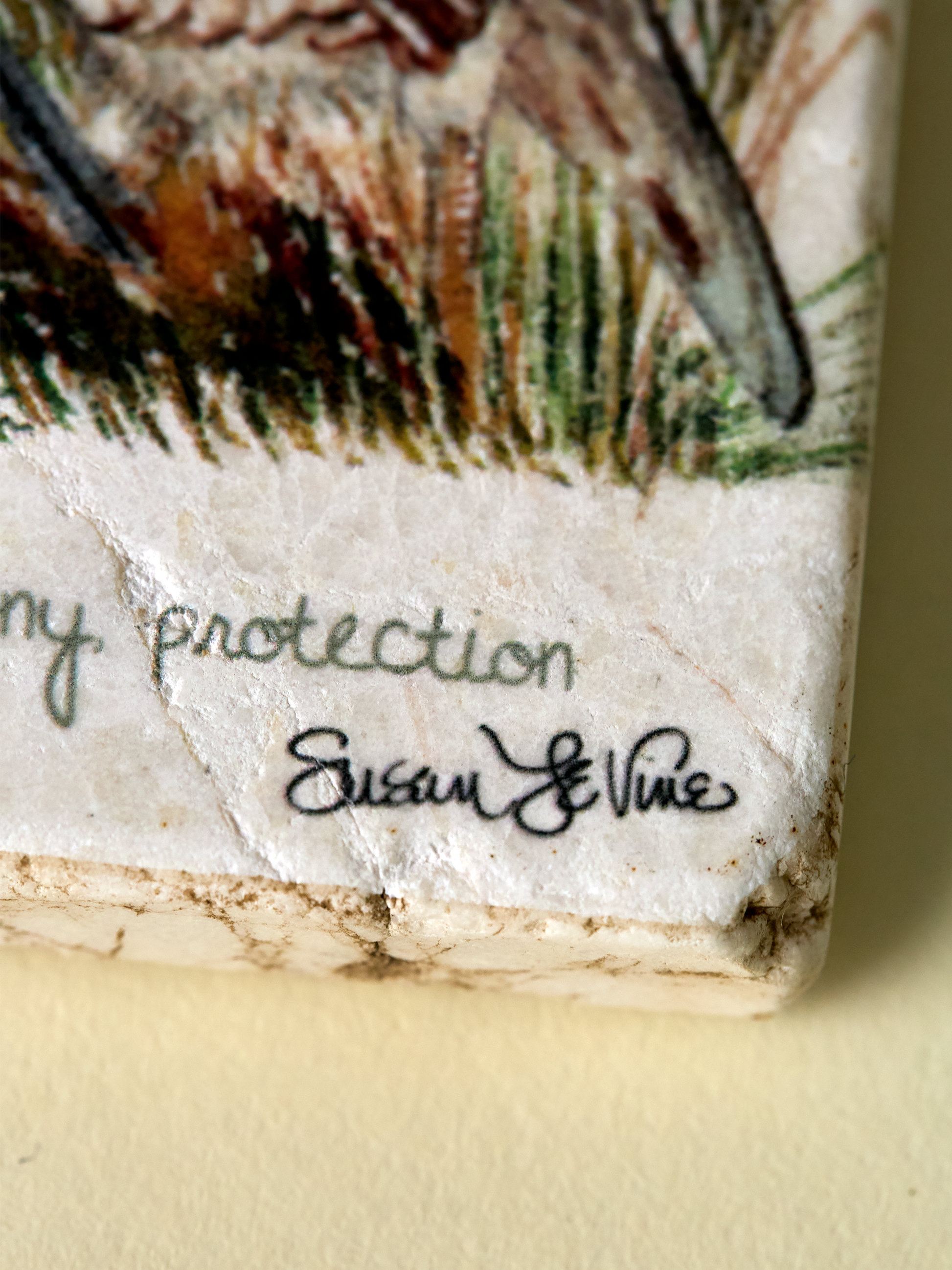 California Quail Coaster