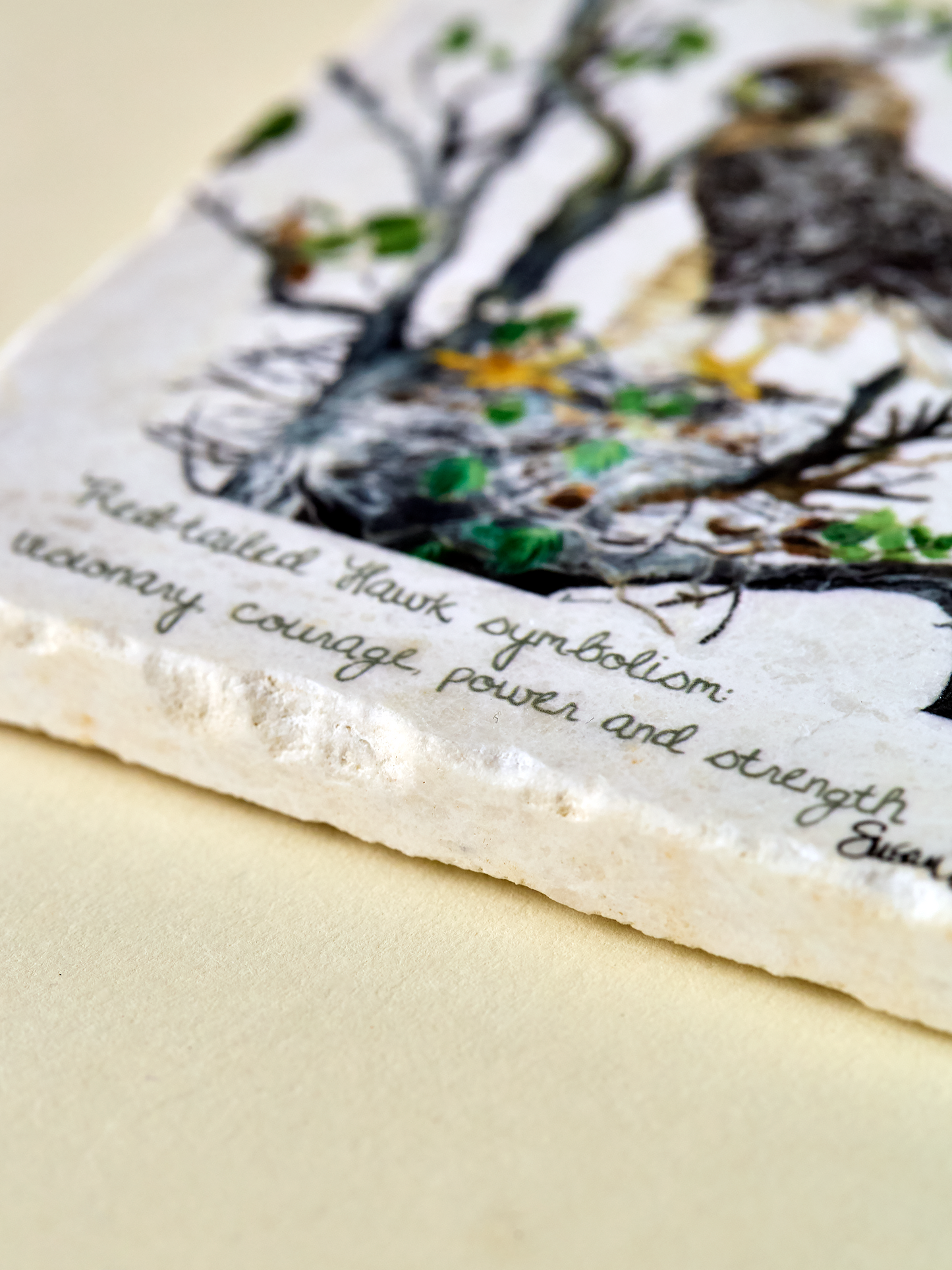 Red-tailed Hawk Coaster (Copy)