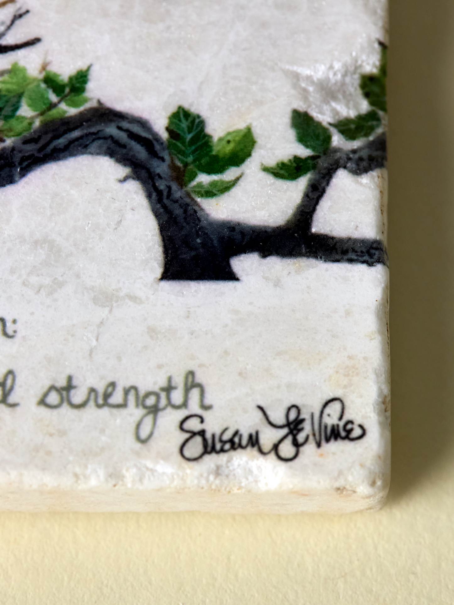 Red-tailed Hawk Coaster (Copy)