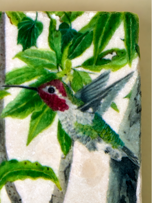 Two Annas Hummingbird Coaster