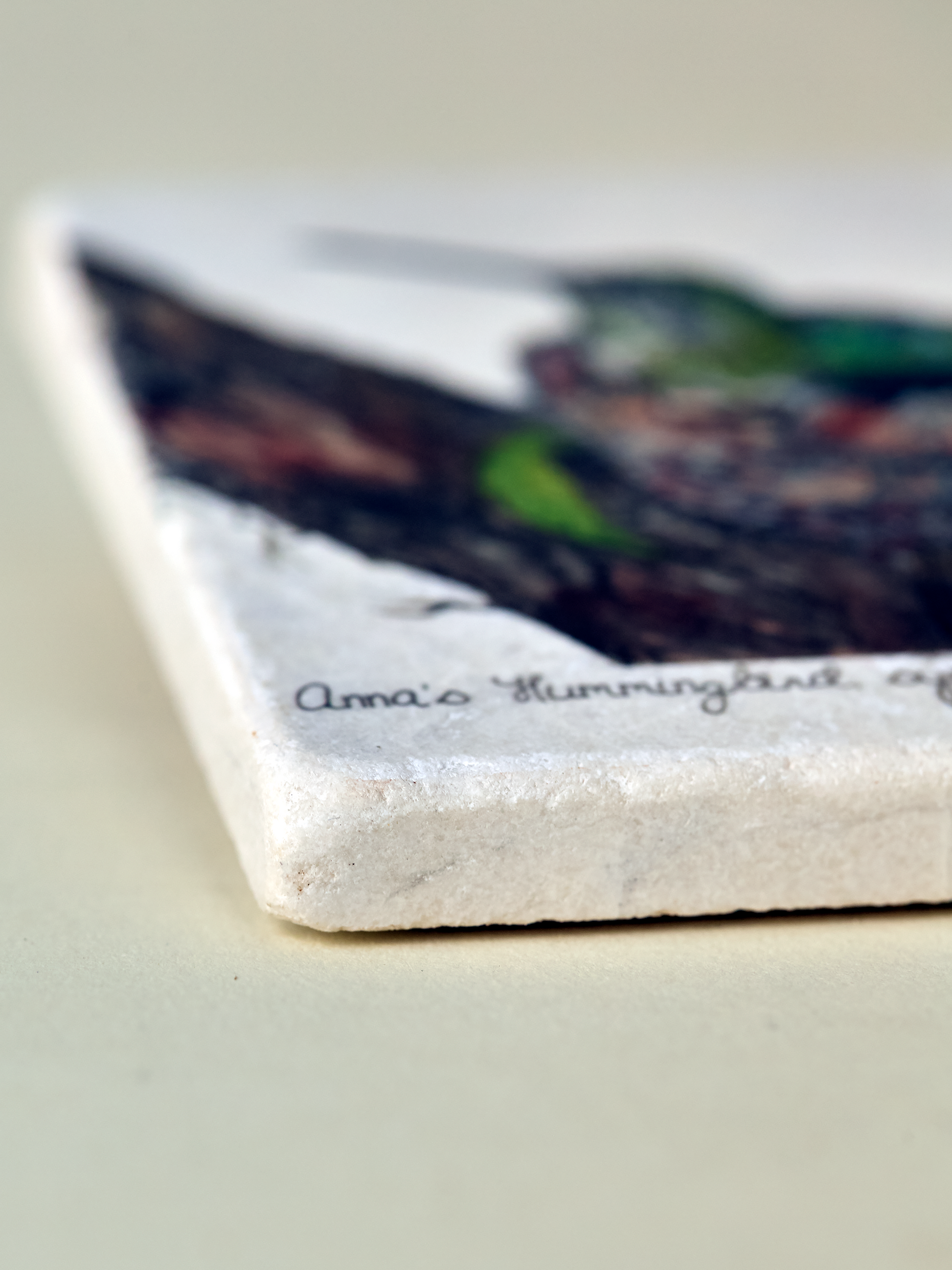 Two Annas Hummingbird Coaster