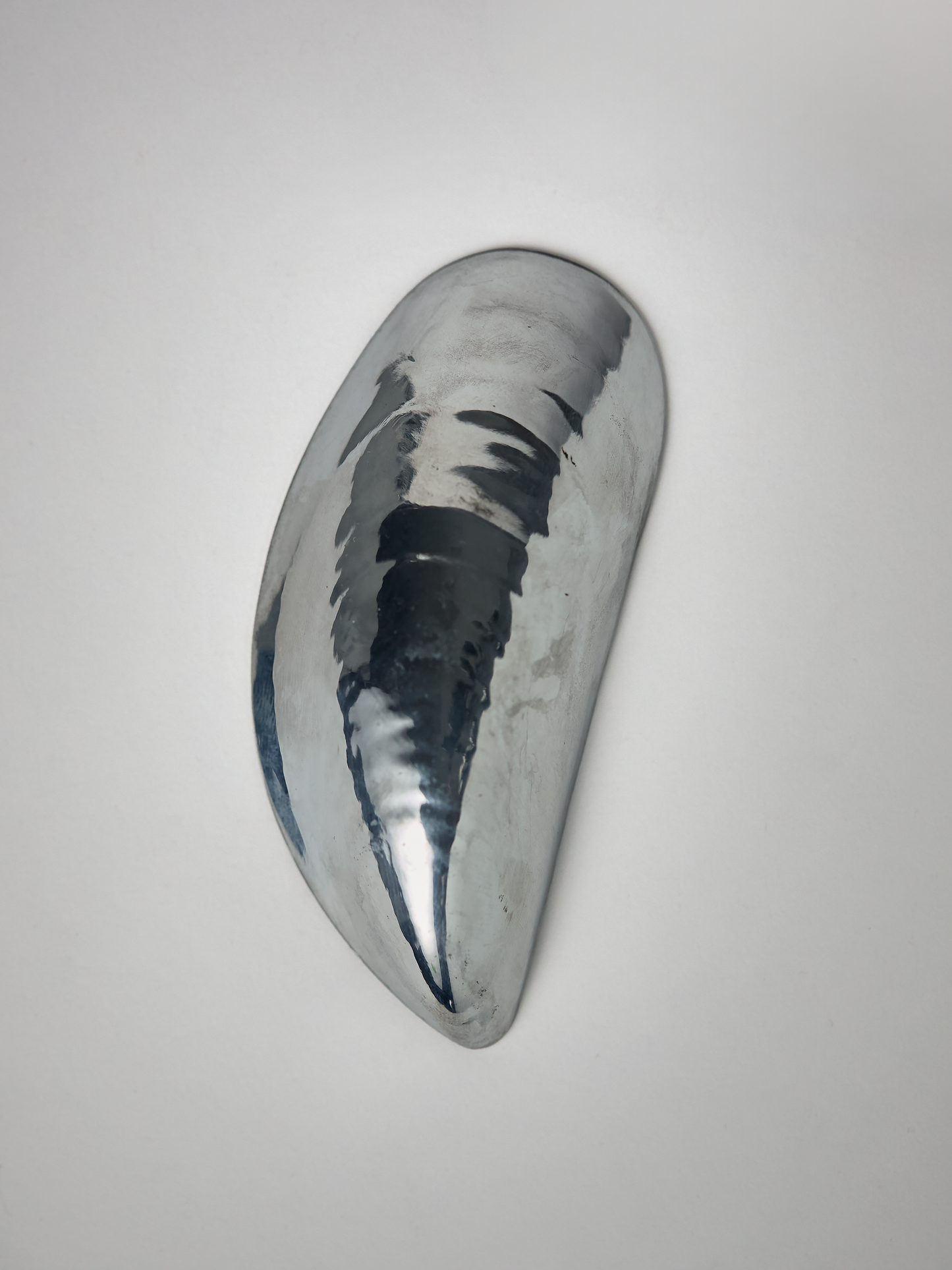 Mussel Bottle Opener