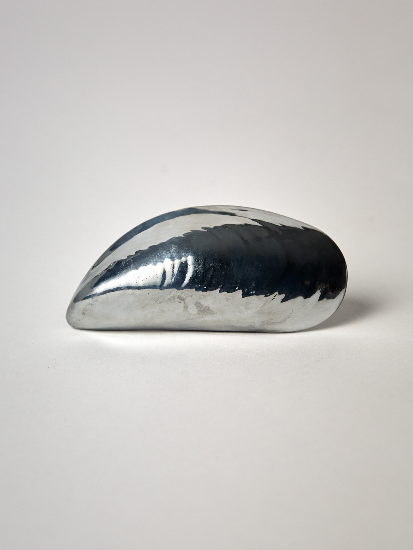 Mussel Bottle Opener