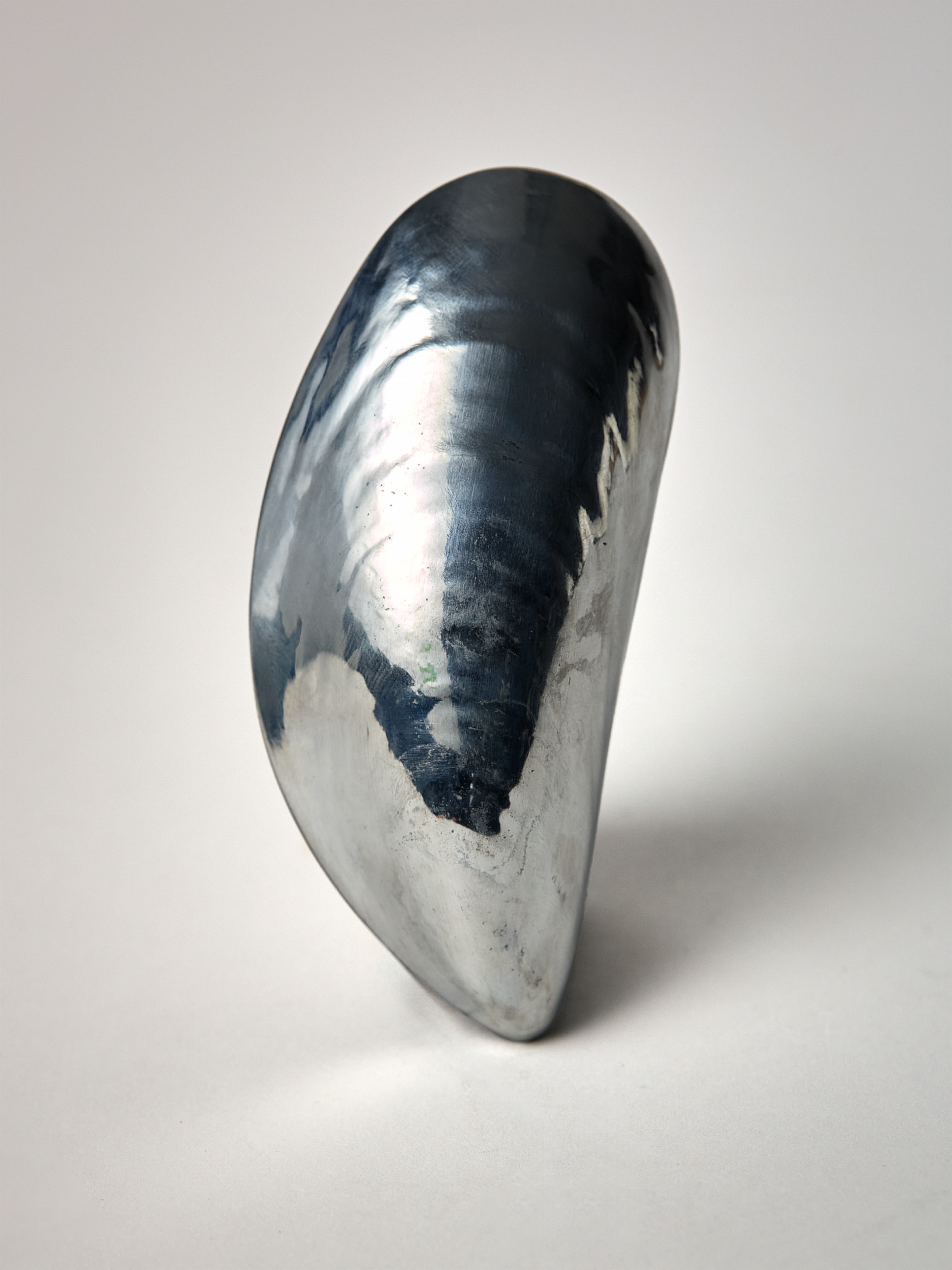 Mussel Bottle Opener