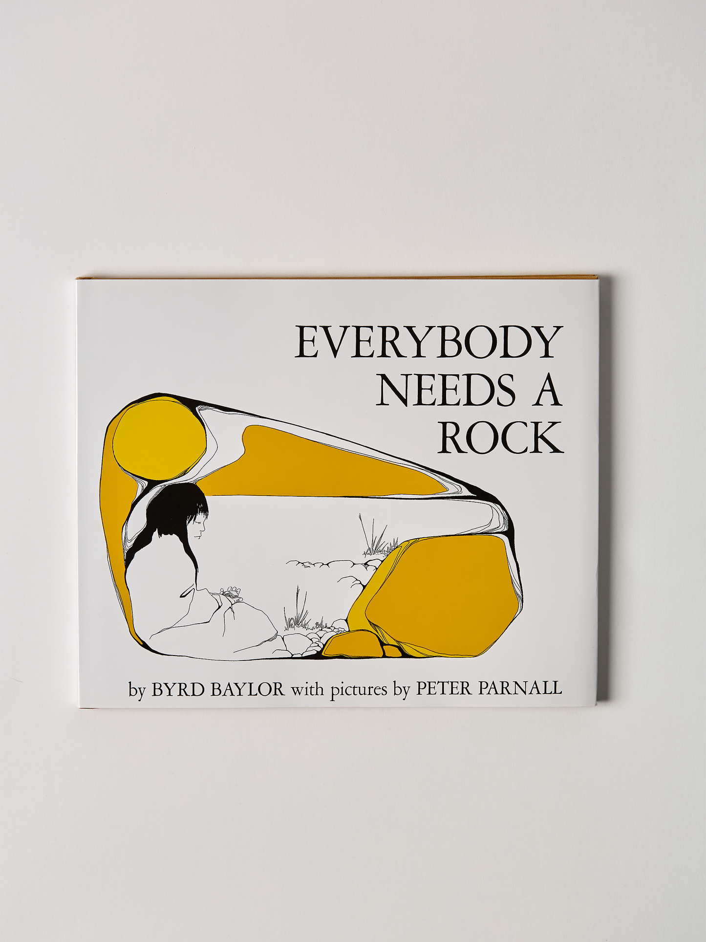 Everybody Needs A Rock