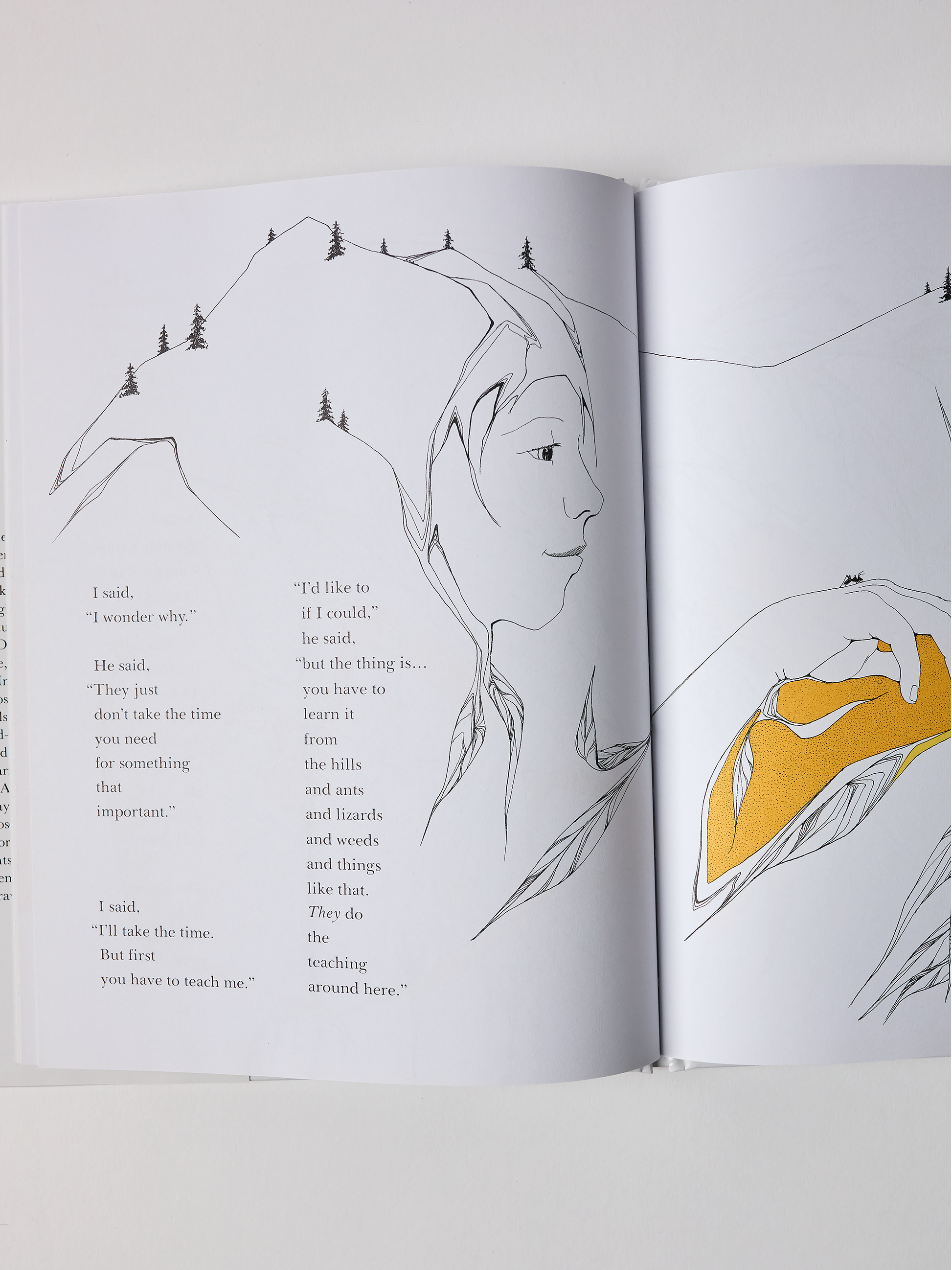 'The Other Way to Listen' by Byrd Baylor and Peter Parnall illustrations and text on a white background