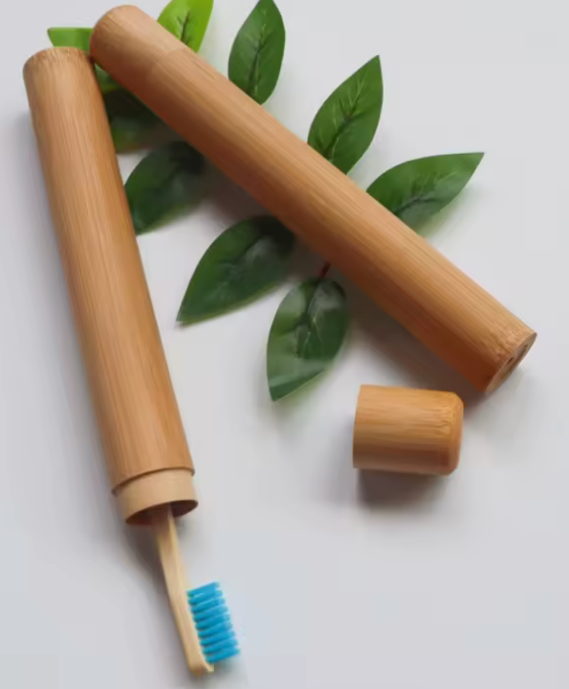 Bamboo Toothbrush and Holder