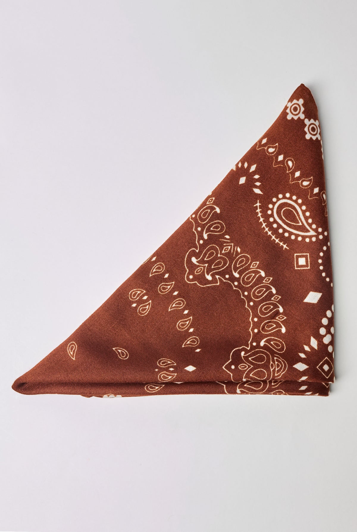 Rust Paisley Neck Scarf