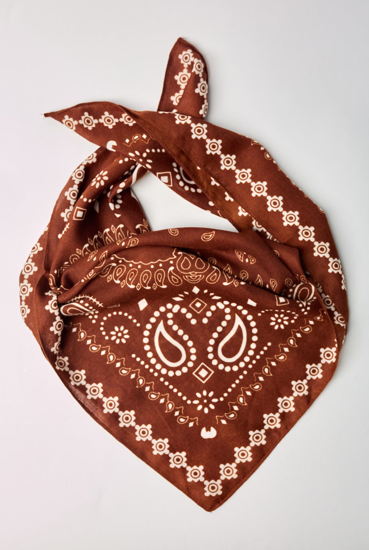 Rust Paisley Neck Scarf