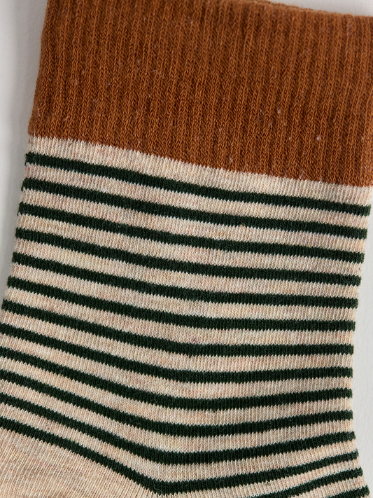Close-up of striped sock with brown top and green and white stripes on a light gray background.