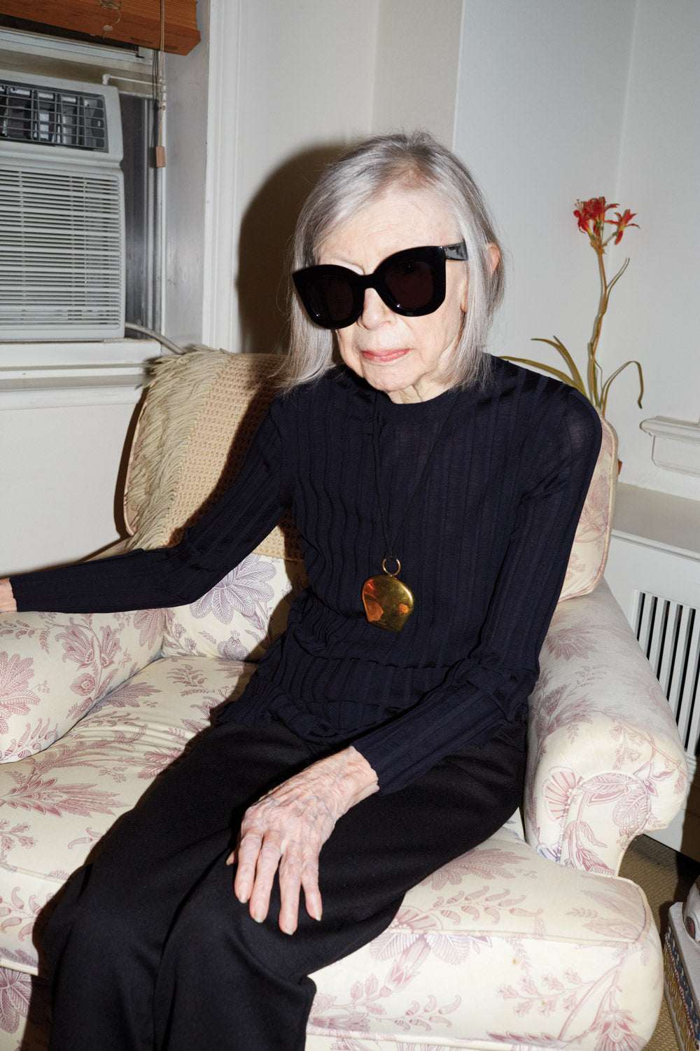 Joan Didion What She Means